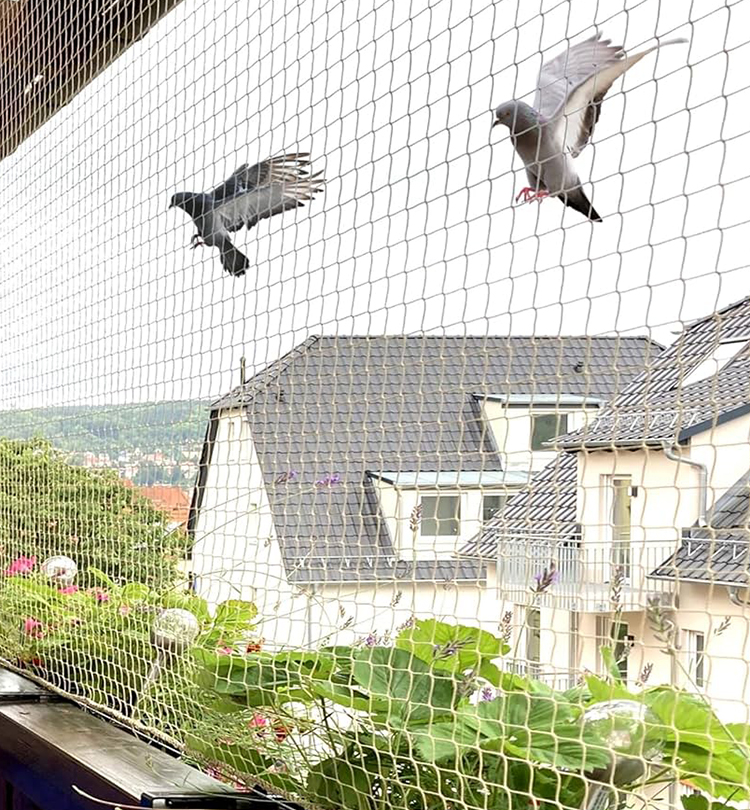Bird Netting