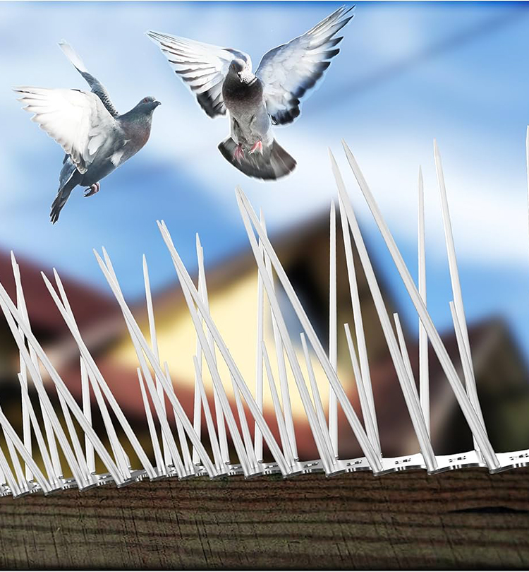 Bird Spikes