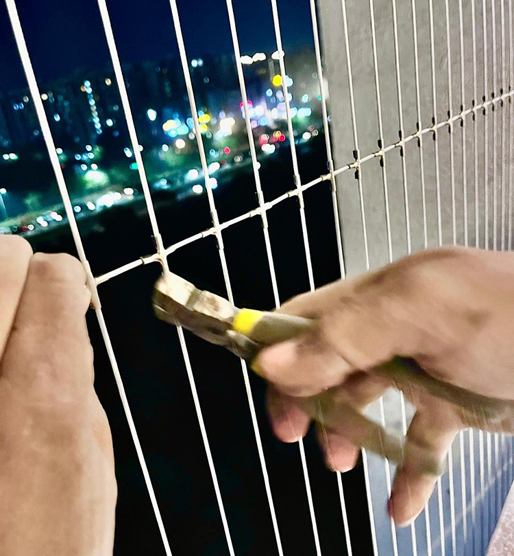 Custom Installation